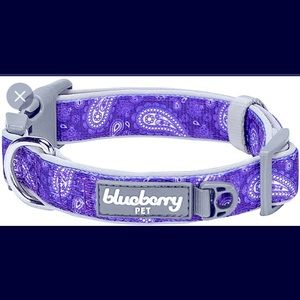 NEW Blueberry Collar Large (1”) brand new never worn purple paisley design